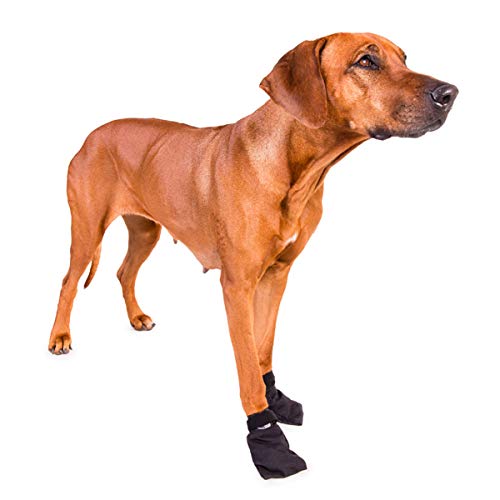 Non-Stop dogwear SOLID BOOTIES 4er | 131 | fester Pfotenschutz, Größe:L