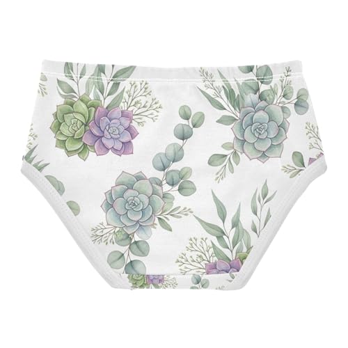 Watercolor Succulents Girls' Underwear, Toddler Briefs, Cotton Girls Underwear, 2–8 Years2