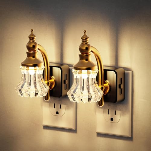 Image of JandCase Night Light, Night Lights Plug into Wall, Glass Flower Nightlight | 2 Pack LED 0-100LM Dimmable Nightlights, Dusk to Dawn Sensor, 1W Floral Vintage Nite Light for Bathroom Hallway Gift Decor