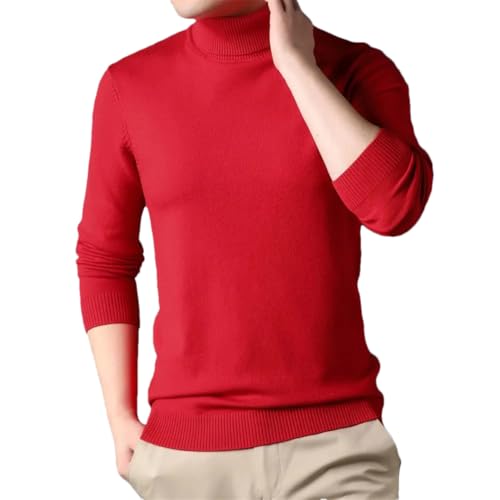 Men's Autumn and Winter Fashion High Collar Warm Pullover Sweater