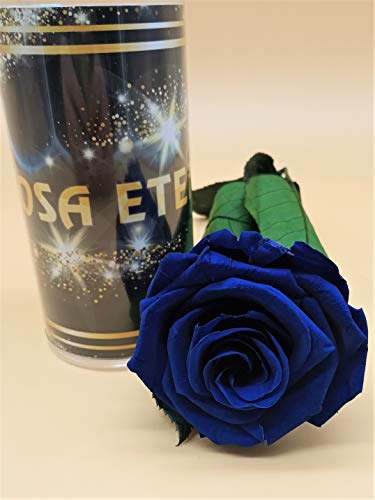 Almaflor Rosa eterna Azul Extra. Rosa preservada Azul. Rosa Azul eterna preservada. Flores preservadas. Hecho en España Cover