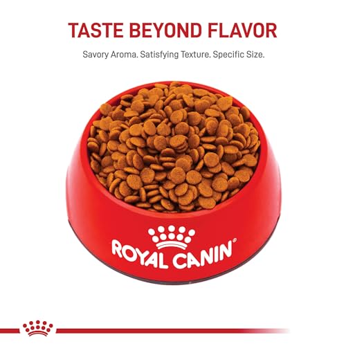 Royal Canin Size Health Nutrition Medium Puppy Dry Dog Food, 4 lb image 8