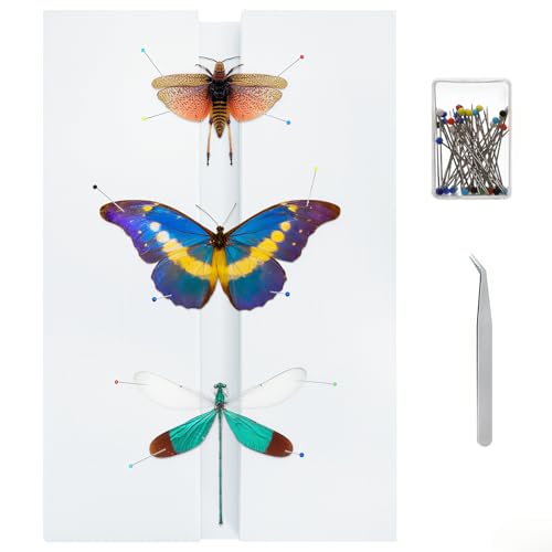 Image of ZENFUN 3 Pcs Insect Pinning Board, 11.8 inchx6.7 inchx1.2 inch Adjustable Butterfly Specimen Spreading Boards for Lab, EVA Foam Board Mounting Specimen Spreading Wings Board for Science, Education