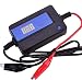 Lead Acid Batteries 12v 24v 36v 48v Battery Regenerator 2A Auto Pulse Desulfator, Blue