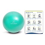 ProBody Pilates Ball Workout Ball - 9 Inch Mini Physical Therapy Ball for Stability, Barre, Yoga, Bender, Balance, Core Training, Recovery Small Exercise Ball for Between Knees (Aqua)
