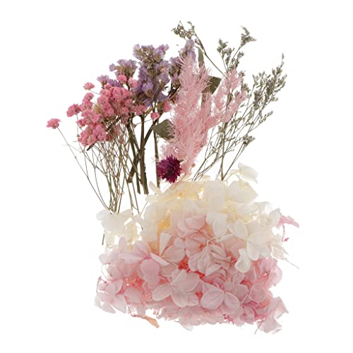 Natural Real Dried Flowers for Art Craft Mixed Soap, Candle, Scrapbook, DIY, Resin Tray Jewellery, Pendant- [Random Box, Multicolour] (1)