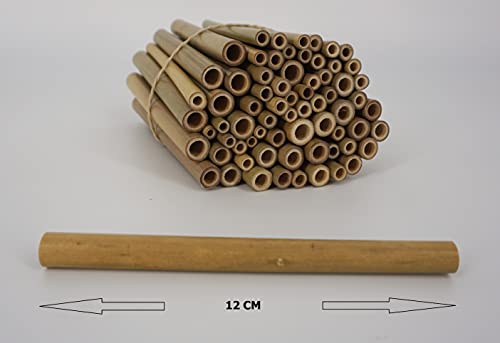 Bambusröhrchen Wildbienenhotel Insektenhotel Bastelsachen (70 Stück) 12cm mit Lehmpulver – Bild 4