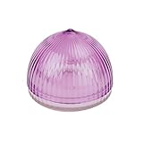 Tulz Canned-and-Jarred-Onions, 4 x 4 x 3.5 inches, Purple, (37051)