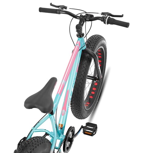 HILAND 24 Inch Fat Tire Mountain Bike, 7 Speed Mountain Bicycle for Men Women, Dual Disc Brakes, Off-Road Bicycle for Adults and Teens, Green - Image 2