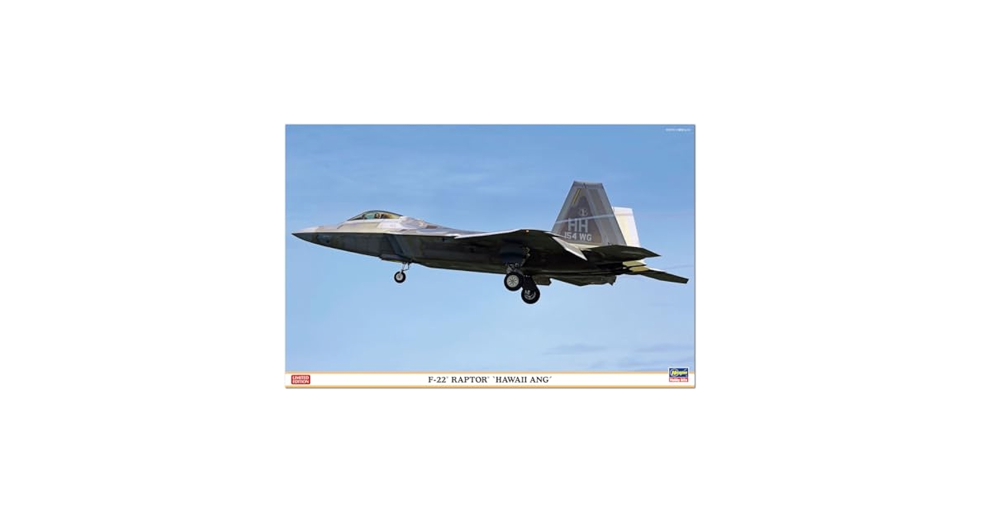 ハセガワ 1/48 F22 ラプター ヴァージニア州空軍 塗装済み完成品 ハセガワ 1/48 航空機 PT45 F-22 ラプター アメリカ空軍 制空