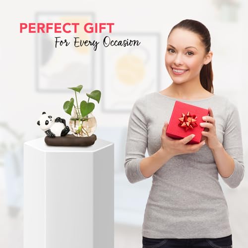 Image of Ekhasa Nostrae Panda with Money Plant Planter Show Pieces for Home Decor | Cute Showpieces Gift Item for Decoration | Center Table Tv Showcase Shelf Office Interior Statue Figurines