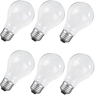 100 Watt Incandescent Light Bulbs, A19 100W Incandescent Bulb Shatter Resistant Rough Service Light Bulb (6)