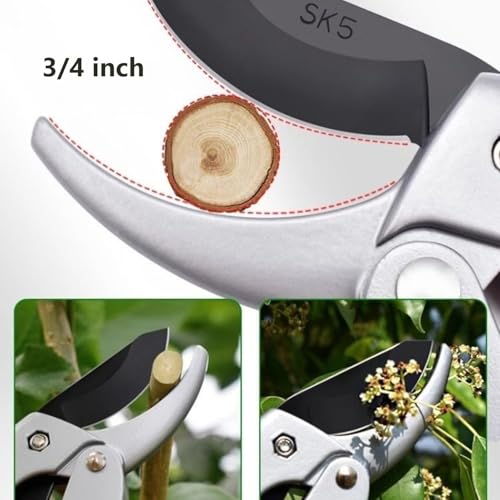 Image of garden shears, Japanese scissors gardening tools, plant pruners for flower, rose, stem, fruit tree, florist cut fresh floral clippers, sharp pruning snips (Silver - 2 pack, 2)