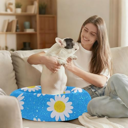 Lit chaud pour chat de taille moyenne idéal pour des nuits sereines