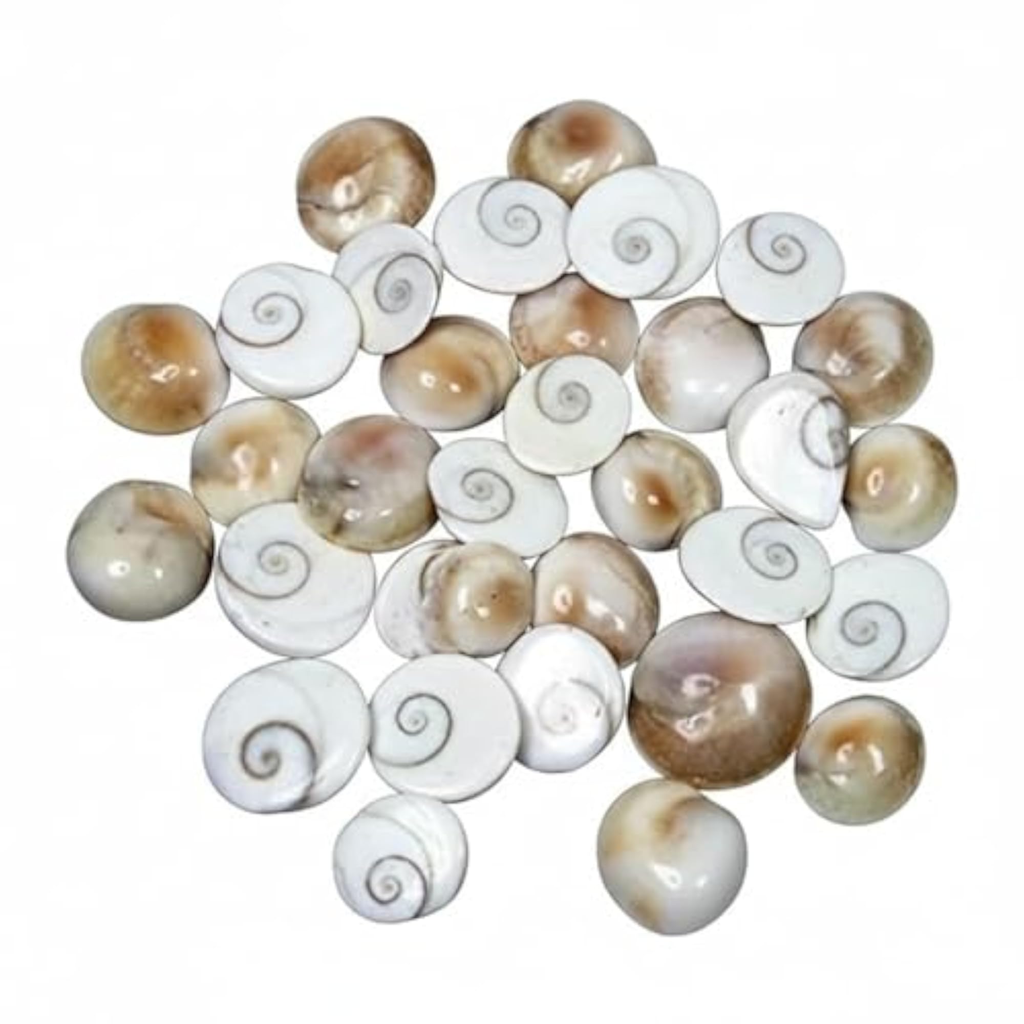 Certified Gomati Chakra - Original River Stones