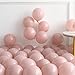 Goose Party Decorations 141pcs Macoron Pink Blue Dusty Green Balloons with Goose Pink Bow and Checked Heart Foil Balloons for Baby Shower Gender Reveal One Silly Birthday Party Supplies