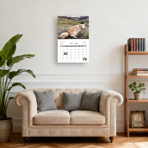 Kackende Hunde Kalender 2026, Dogs Pooping in Beautiful Places Calendar 2026, Hunde beim Kacken Kalender, Pooping Dogs Calender 2026, Lustiger Wandkalender für Hundefreunde