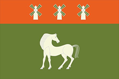 Drapeau Davlekanovsky rayon grand format pour mât extérieur