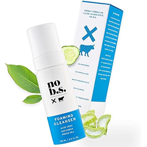No B.S. (No Bad Stuff) Foaming Cleanser, Natural Face Wash with Cucumber, Green Tea & Aloe Vera, for Oily, Combination, Dry, Normal, Sensitive & Acne Skin, Skin Care for Women & Men, Vegan, 5.4 FL Oz Cover