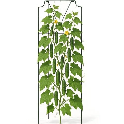 bellissa 1 Stück - Gurken-Gitter und Rankhilfe für Gurkenpflanzen und Gemüse – Rank- für Topfpflanzen grün 179x39 cm