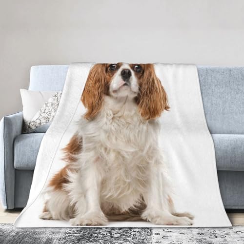 座ってるキャバリア マルチサイズフランネルブランケット ひざ掛けふわふわエアコン対策 四季通用クーラーケープ用 150×200cm