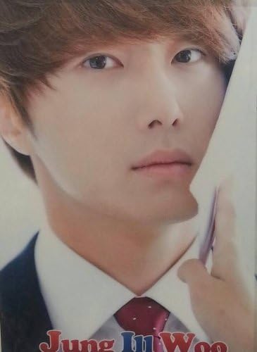 Amazon Co Jp チョン イル チョンイル 太陽を抱く月 グッズ クリアファイル ホビー 通販