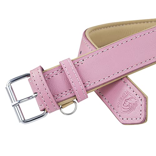 Riparo Hundehalsband, gepolstert, echtes Leder, verstellbar, strapazierfähig (L: 3,8CM Breit für 43,2CM - 53,3CM Hals, Rosa)
