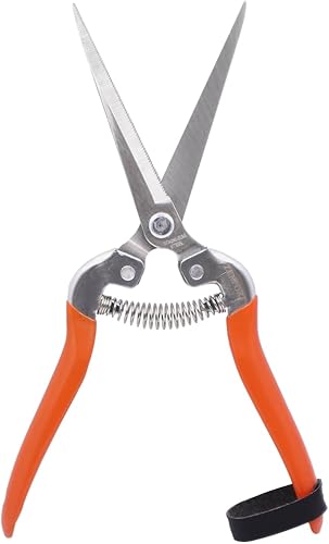 Zenport Cizalla H312, acero inoxidable extralargo de 3.25 pulgadas, cuchillas dentadas