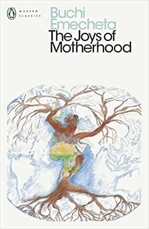 The Joys of Motherhood (Penguin Modern Classics) (English Edition)