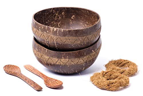 Bol en noix de coco ARUBA / 2 bols à céréales en kit avec cuillère en bois / bol à céréales Jumbo Ø env. 14 cm Bol à smoothie Bol env. 750 ml Volume / bol à en-cas Bol en bois Cover