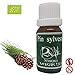 Produktbild Ressources Naturelles - Kiefer ätherisches Öl (Bio) 10 Ml