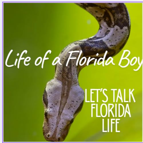 Life of a Florida Boy cover art