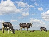 Puzzles for Adults 500 Pieces Jigsaw Puzzles Milk Cows a Field grazing Black and White Dairy Cattle a Green Pasture Clearance Big Large Difficult Cool Hard for Adults -  ZHEONARTU