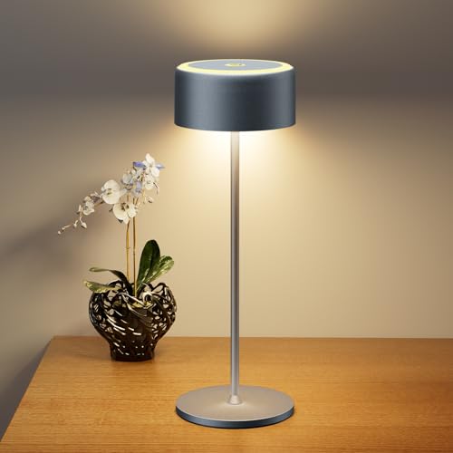 TYEE Tischlampe Kabellose LED Dimmbare Akku Tischleuchte, Wiederaufladbar Warme Lichtfarbe 2200-3000K Tischleuchte Für Innen und Aussen mit USB-C, Aluminium Tischlampe IP54 Wasserdichte, grau TYEE Tischlampe Kabellose LED Dimmbare Akku Tischleuchte, Wiederaufladbar Warme Lichtfarbe 2200-3000K Tischleuchte Für Innen und Aussen mit USB-C, Aluminium Tischlampe IP54 Wasserdichte, grau