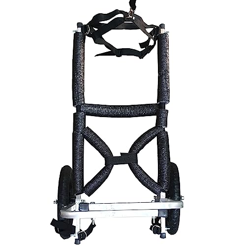 Cadeira de Rodas para Cachorro de Médio/Grande Porte Off Road Pet Best Soluções