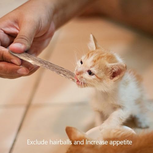 Image of 10PCS Natural Silvervine Sticks | Matatabi Catnip Dental Sticks Cat | Indoor Chew Toys | Wooden Engaging Stick for Teeth Cleaning | Edible Kitty Toys | Teeth Molar Tool | Cat Treat Toy