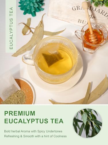 Image of TeeLux Eucalyptus Tea Bags, Premium Dried Eucalyptus Leaves Tea, Refreshing & Smooth Flavor, Caffeine Free, 100 Count