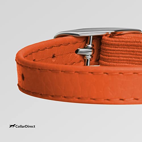 Image of CollarDirect Leather Cat Collar, Cat Safety Collar with Elastic Strap, Kitten Collar for Cat with Bell Black Blue Red Orange Lime Green (Neck Fit 6 inch-7 inch, Orange)