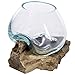 MyGift Mini Natural Driftwood & Molten Glass Bowl Tabletop Plant Terrarium