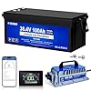 DC HOUSE Upgraded 36V 100Ah Lithium Golf Cart Battery w/Switch, 200A BMS Lifepo4 Battery with 36V 25A Charger, Bluetooth & LCD Monitor, Peak Current 670A,for Trolling Motors,Marine