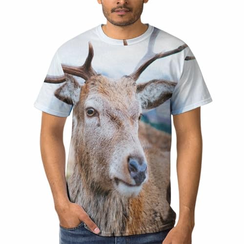 Chemise tshirt homme d'une douceur absolue et finitions soignées Elan
