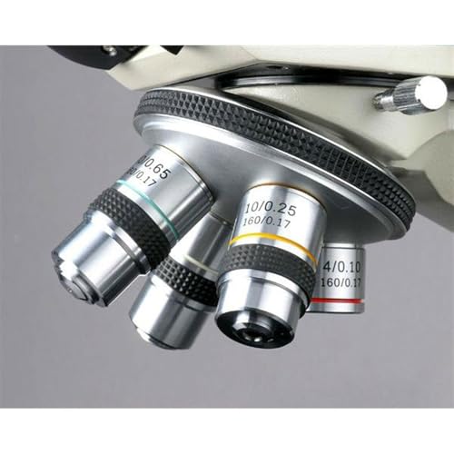Image of AmScope B490 Series Professional LED Biological Binocular Compound Microscope 40X-1000X Magnification with 3D Mechanical Stage