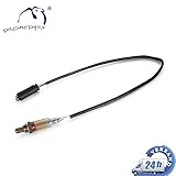 Passt für BMW 3er E46, 3er Cabriolet E46, 3er Compact E36, 3er Coupe E36, 3er Coupe E46, 3er Touring E46, 7er E38, X5 E53, Z3 Coupe E36, Z3 Roadster E36.