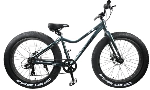 TRINX(gNX) r[`N[U[ yt@bgoCNz͂̋ɑ^C WfBXN yʃA~t[ V}m7iϑ 26C` 26x4.0 Xm[oCN FATBIKE T106 O[