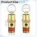 2 Pcs 1/4 Inch NPT Air Compressor Check Valve 200 PSI Boiler Pressure Relief Valve Brass Safety Check Valves Threaded Airs Vent Safety Control Valves for Air Compressor (200 PSI Pop off Pressure)