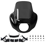 FATECIM Headlight Quarter Fairing with 13