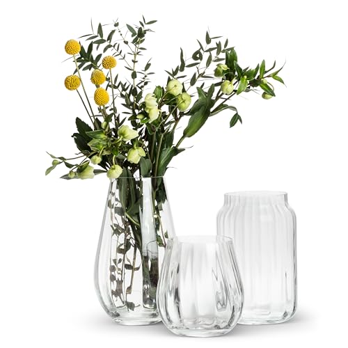 Vase Optique en Verre Transparent Soliflore Design Abbott Collection - 5