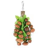 Holzklötze als vogelspielzeug – fast alle vogelarten können damit , und dieses haustierspielzeug kann das perfekte für vögel sein