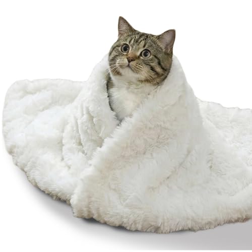 Cat Blanket for Indoor Cats Ultra-Soft Plush Small Blanket Machine