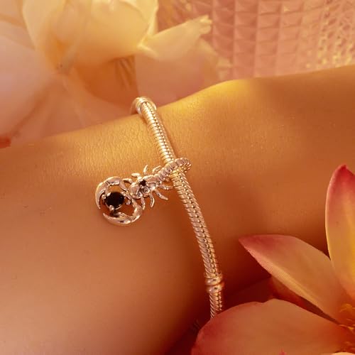 925 Sterling Silver Charm for Women Bracelets and Necklace Fashion Bead Charms Clearance for Mother Daughter Sisters Friends Jewelry Gift2